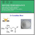 Base de L-Carnitina de Aminoácidos y Pérdida de Peso